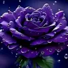 khc.su.tnh.u
