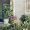 imissth_d