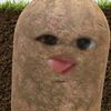s4tvrniez_64