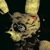 sylxpx