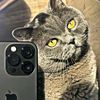 userhofq18odlp