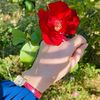 user9270980542916