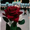 user1058506769405