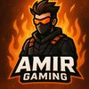 amirgaming660