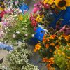 farmhouseflorals1
