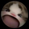 phsallied
