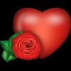 user70r3mzky6p