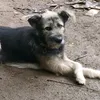 mergg_18