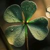 yasmine_mina.com