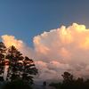 nina_14677