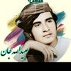 jameel1033902548568