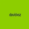 .davidxsz