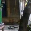 supriyadi7320