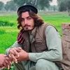 dilbarikhan