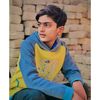 malik_hamza_awan46