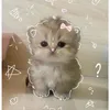 caitlyn_happy