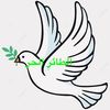 freebirdwww.tiktokcom