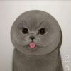 qbtnsk