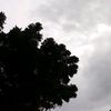 mahmoud.abdo65