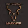 hamzaafridi00777