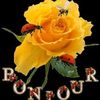 user8394255482167