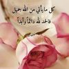 emansalh343