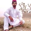 ranasanawar491