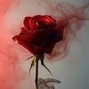 _.nyxarael._