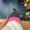 klazzz.backstu