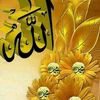 chafi430