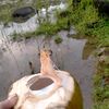wawan1.9