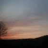 tjg_0701