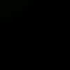 xzk_wzrd