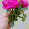 sa_y086