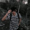 pallstillearning