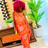 eshiwenvanecia237