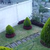 user8219225746507