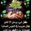 oumhakimdaouameur