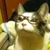gramachow