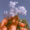 user7401781120104