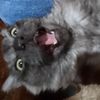 neryyyyy_