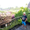 supriyadi13saja5