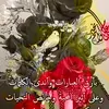 user3507837843806