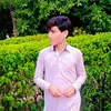 sherafridi_