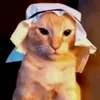bdui_cat2