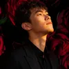 bao_binh_2004