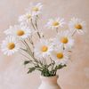 YellowWhite