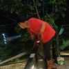 andra_saiddd