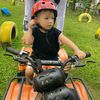 dega_lazu