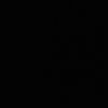 brlsgrgl